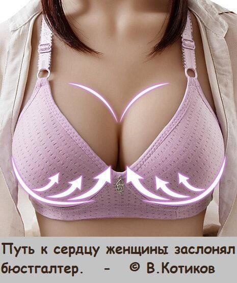 Путь к сердцу женщины заслонял бюстгалтер ВКотиков