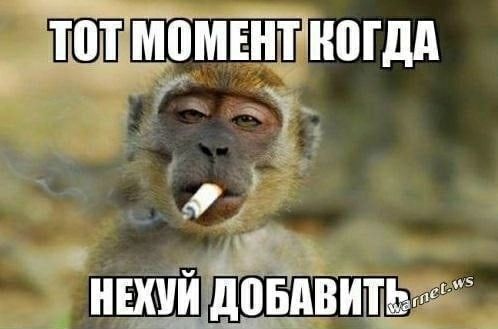 _ТЮШШПМЕЙЖШДА А 425 0 нш Аниты _Ёмі Т