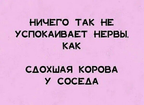 НИЧЕГО ТАК НЕ УСПОКАИВАЕТ НЕРВЫ КАК САОХШАЯ КОРОВА У СОСЕАА