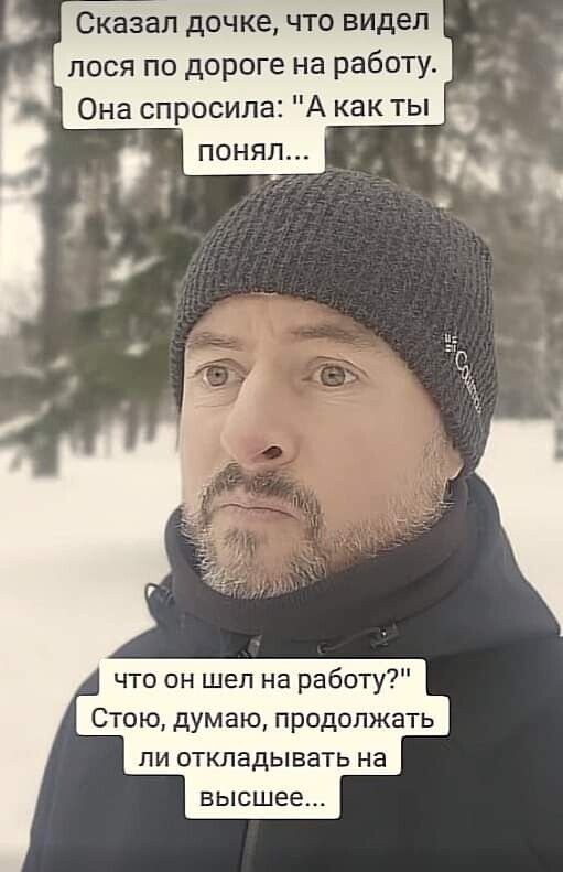 Сказал дочке что видел лося по дороге на работу Она спросила А как ты что он шел на работу Стою думаю продолжать пи откладывать на гі