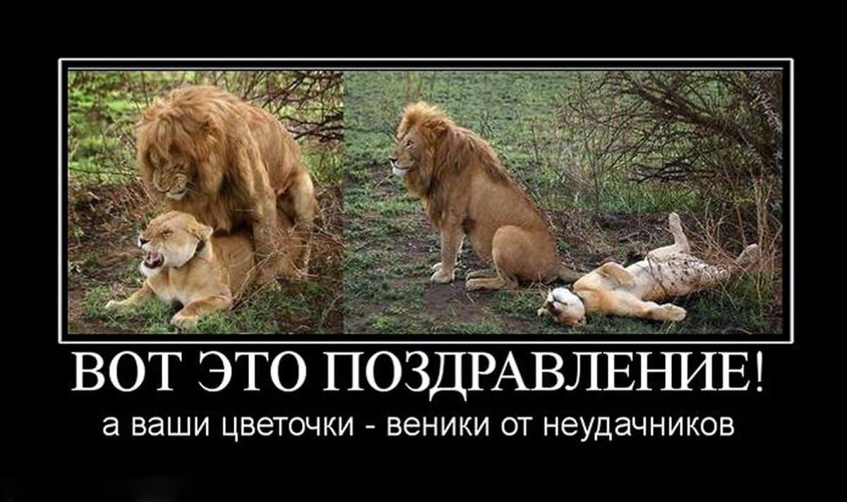 ВОТ ЭТО ПОЗДРАВЛЕЪШЕ а ваши цветочки веники от неудачников