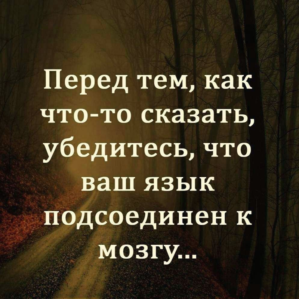 Перед тем как что то сказать убедитесь что ваш язык подсоединен к мозгу