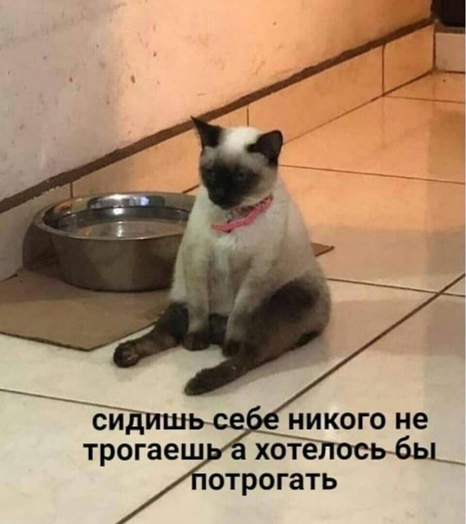 НИКОГО не ОТРОГЗТЬ