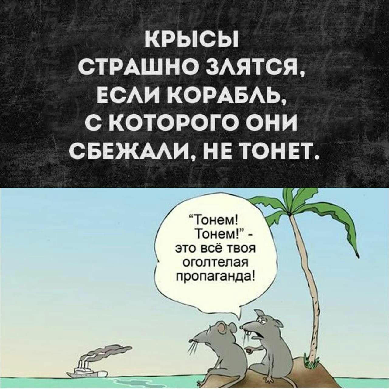 КРЫСЫ СТРАШНО ЗАЯТСЯ ЕСАИ КОРАБАЬ С КОТОРОГО ОНИ СБЕЖААИ НЕ ТОНЕТ это все твоя огсптепая пропаганда