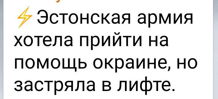 Эстонская армия хотела прийти на помощь окраине но застряла в лифте