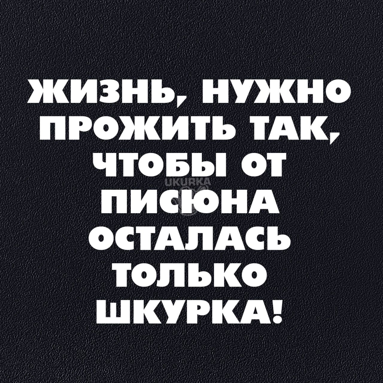 ЖИЗНЬ НУЖНО ПРОЖИТЪ ТАК ЧТОБЪ ОТ ПИСОНА ОСТАПАСЪ ТОЛЬКО ШКУРКА