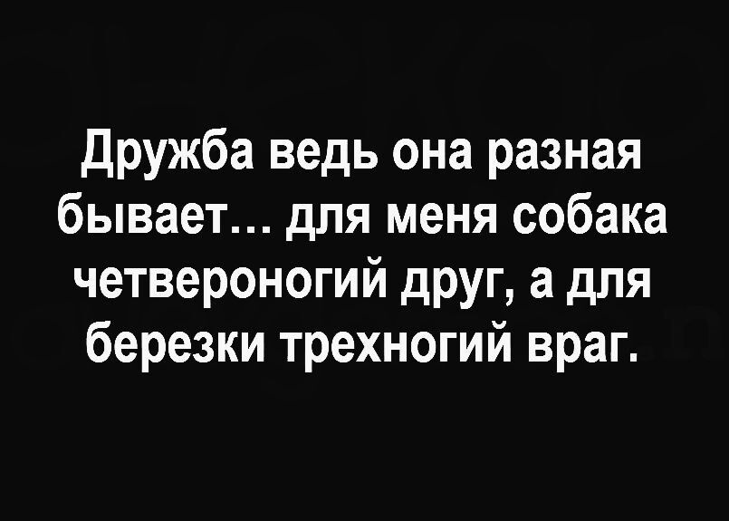 Дружба ведь она разная бывает для меня собака четвероногий друг а для березки трехногий враг