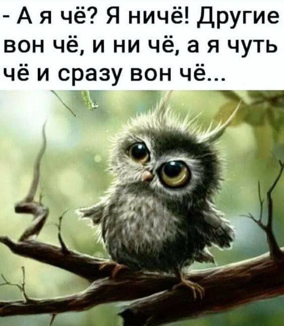 А я чё Я ничё Другие вон чё и ни чё а я чуть чё и сразу вон чё