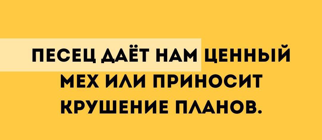 щииый на или приносит крушении шим