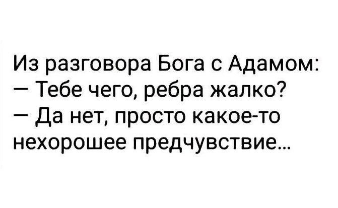 Из разговора Бога 0 Адамом Тебе чего ребра жалко Да нет просто какое то нехорошее предчувствие