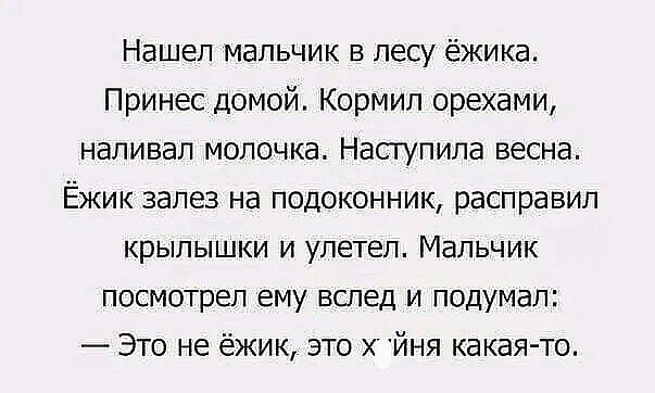 Нашел мальчик в лесу ёжика Принес домой Кормил орехами напивап молочка Насгупила весна Ёжик залез на подоконник расправип крылышки и улетел Мальчик посмотрел ему вслед и подумал Это не ёжик это йня какая то