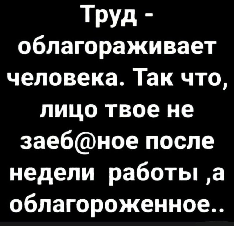 Труд облагораживает человека Так что лицо твое не заебное после недели работы а облагороженное