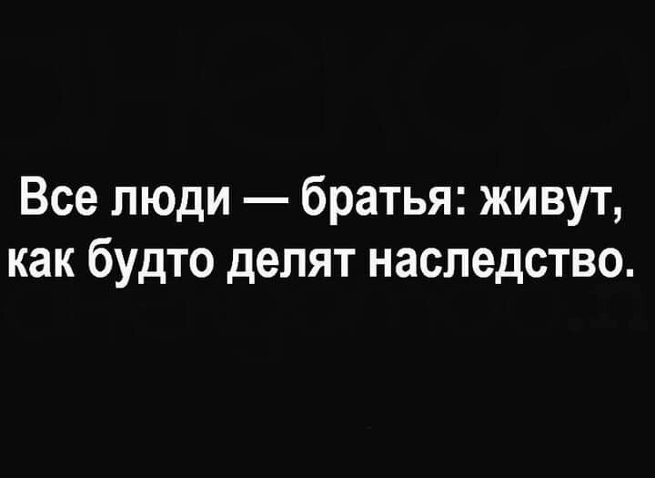 Все люди братья живут как будто делят наследство