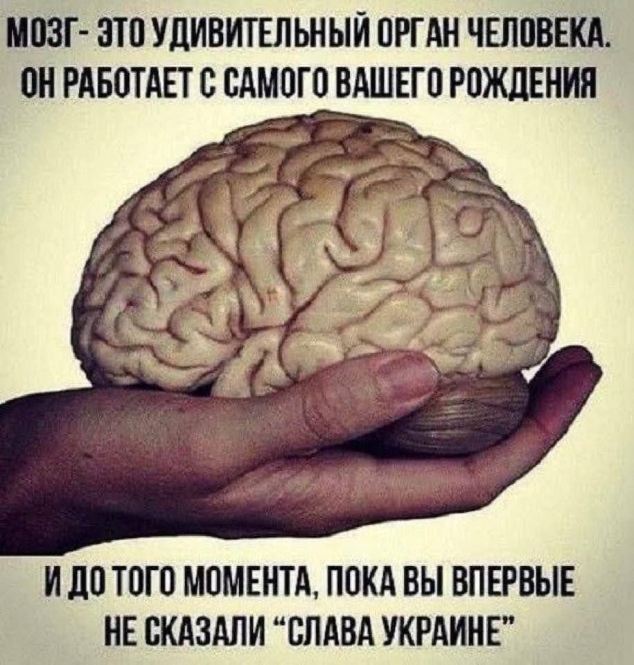 ВЗГ ЭТВ УЦИВИТЕЛЬНЫЙ ШИН ЧЕПВВЕКА ВН РАБВТАЕТ В САМВГВ ВАШЕГО РОЖДЕНИЯ ИЛВ ТВГП МВМЕНТА ПВКА ВЫ ВПЕРВЫЕ НЕ ВКАВАЛИ СЛАВА УКРАИНЕ