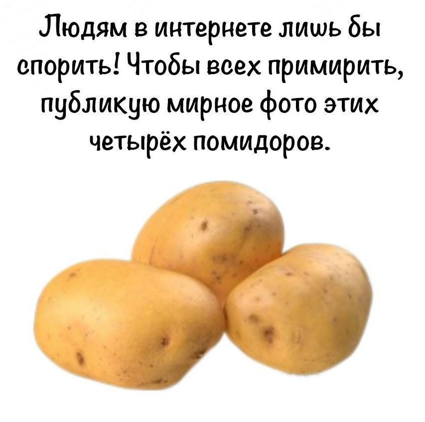 Людям в интернете лишь бы спорить Чтобы всех примирить публикую мирное фото этих четырёх помидоров