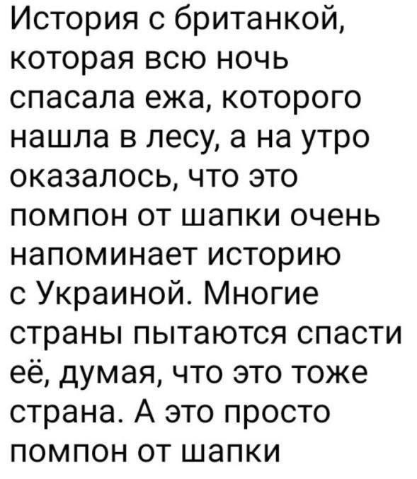 История с британкой которая всю ночь спасала ежа которого нашла в лесу а на утро оказалось что это помпон от шапки очень напоминает историю с Украиной Многие страны пытаются спасти её думая что это тоже страна А это просто помпон от шапки