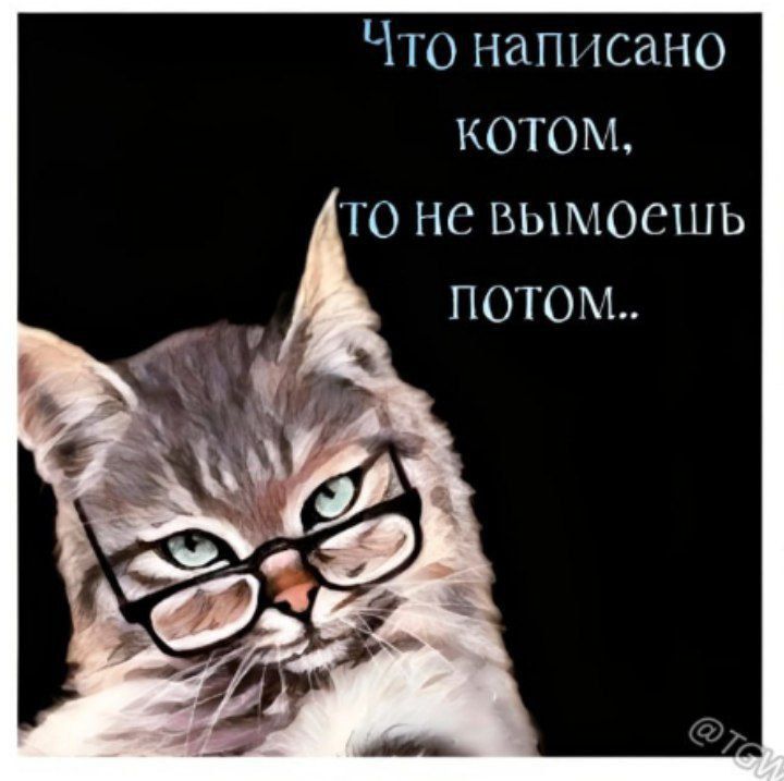 Что на тсано котом то но вымосшь потом