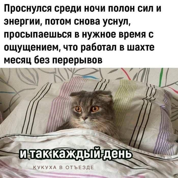 Проснулся среди ночи полон сил и энергии ПОТОМ снова уснул просыпаешься в нужное время с ощущением что работал в шахте месяц Без перерывов г