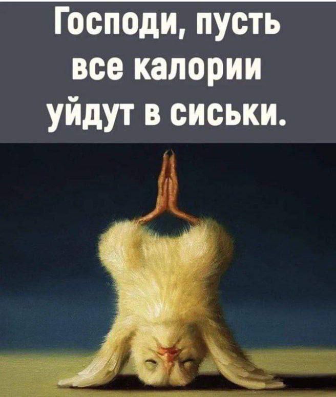 Господи пусть все калории уйдут в сиськи