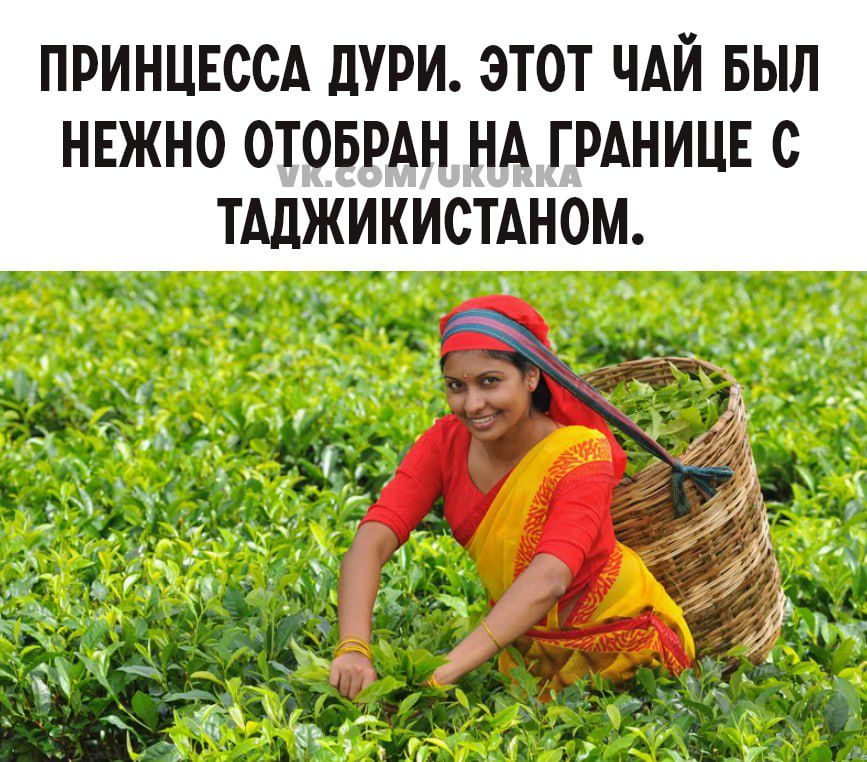 ПРИНЦЕССА ШРИ ЭТОТ ЧАЙ БЫЛ НЕЖНО ОТОБРАН НА Г РАНИЦЕ С ТАЛЖИКИСТАНОМ