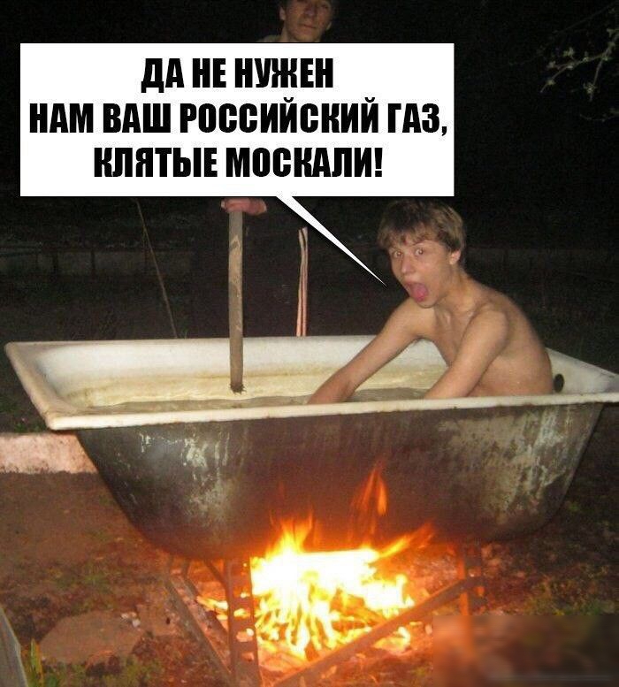 дп и шип _ ним виш гопсииекии гдз иппты мпсшши
