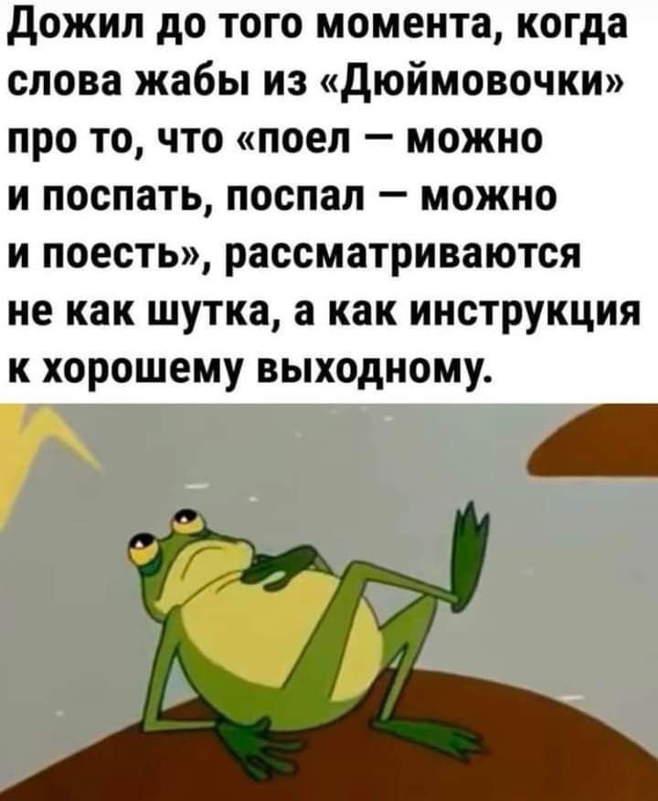 дожил до того момента когда слова жабы из дюймовочки про то что поел можно и поспать поспал можно и поесть рассматриваются не как шутка а как инструкция к хорошему выходному