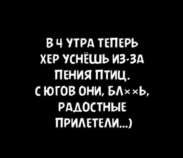в ч трд теперь ХЕР УСНЁШЬ ИЗ ЗА пения птиц югов они БАх Ь РАДОСТНЫЕ ПРИАЕТЕАИ