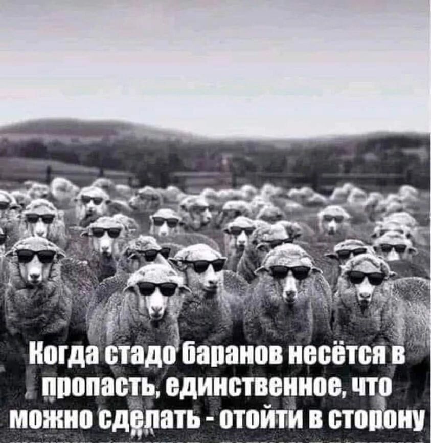 мда стаддбапаипв ивсіітси прппапь о дииствиион что можно сдирать отойти в стопиу