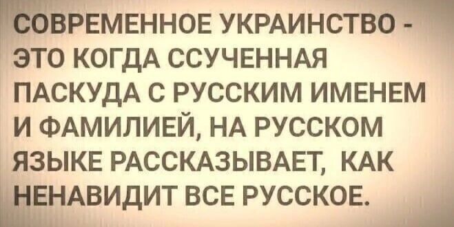 шёрвмвннов укминствоЁ это КОГДА ССУЧЕННАЯ ПАСКУдА с русским именвм и ФАМИЛИЕЙ НА русском языке РАССКАЗЫВАЕТ КАК ЁНАВИДИТ все русское А