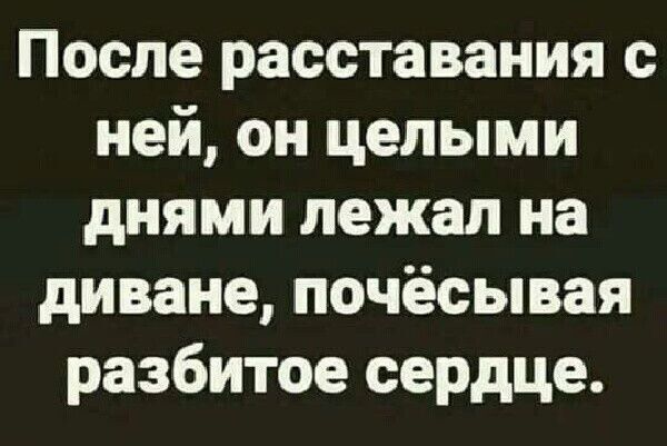 После расставания с ней он целыми днями лежал на диване почёсывая разбитое сердце