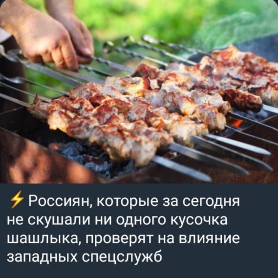 4 Россиян которые за сегодня не скушали ни одного кусочка шашлыка проверят на влияние западных спецслужб