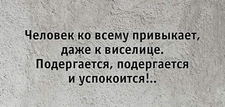 Человек ко всему привыкает даже к виселице _ Подергается подергается и успокоится