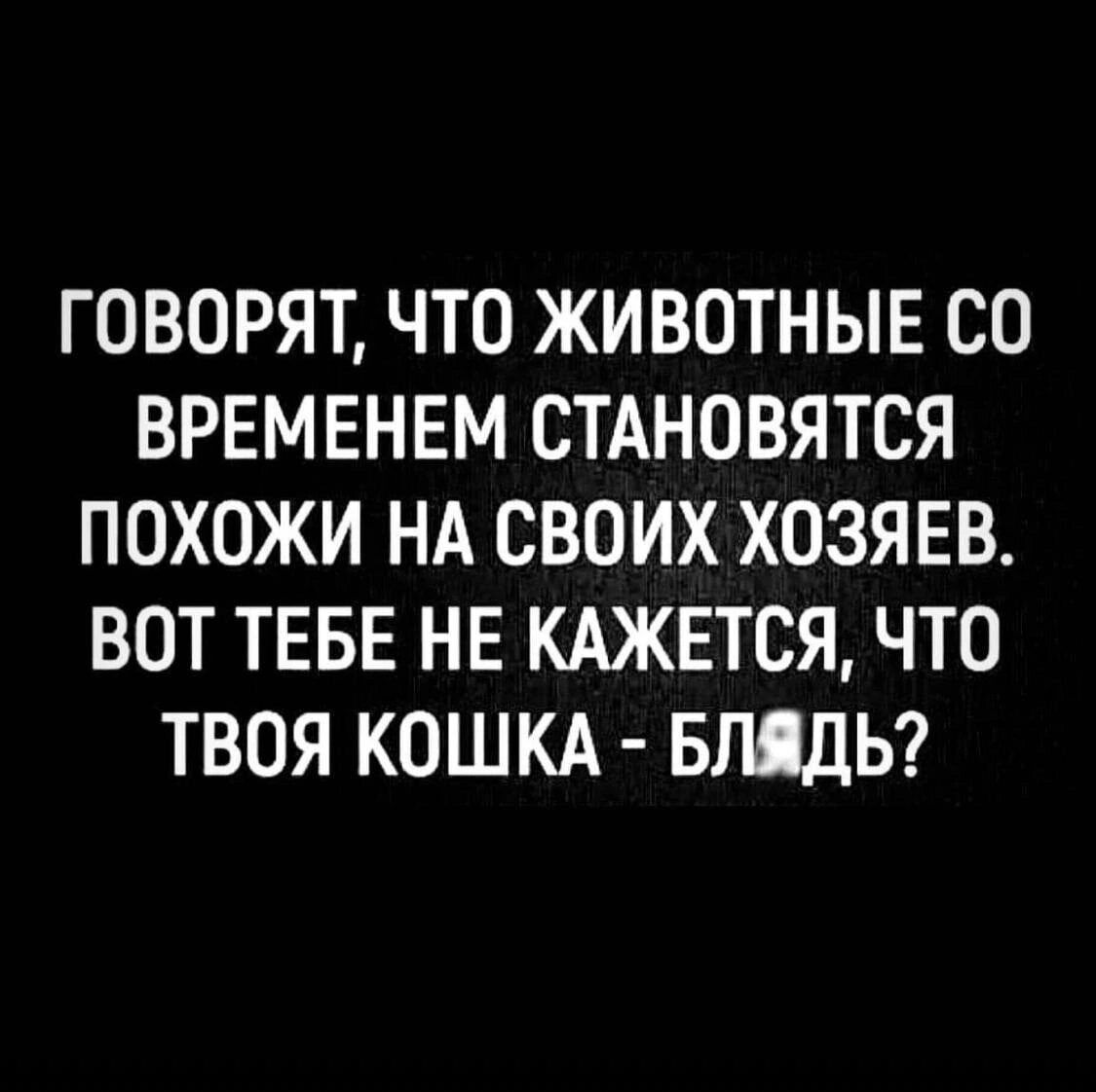 ГОВОРЯТ ЧТО ЖИВОТНЫЕ СО ВРЕМЕНЕМ СТАНОВЯТСЯ ПОХОЖИ НА СВОИХ ХОЗЯЕВ ВОТ ТЕБЕ НЕ КАЖЕТСЯ ЧТО ТВОЯ КОШКА БЛЯДЬ