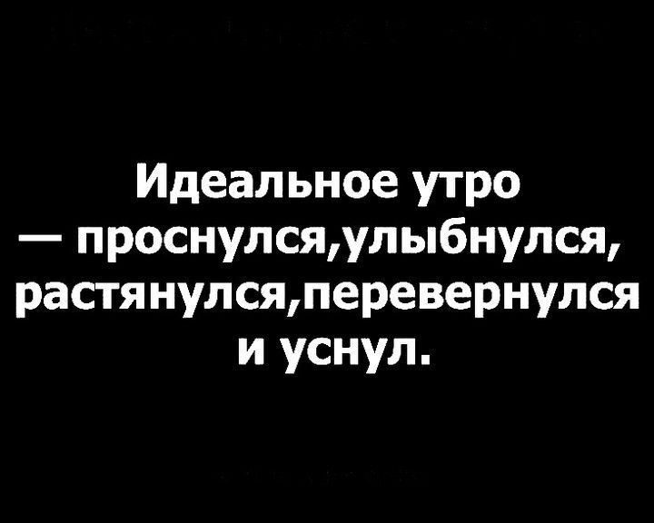 Идеальное утро проснулсяулы6нупся растя нулсяперевернулся и уснул