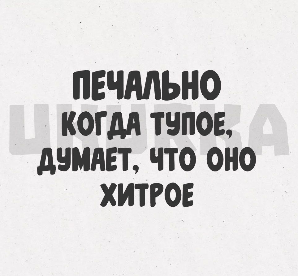 ПЕЧМЬНО КОГДА ТНПОЕ АВМАЕТ ЧТО ОНО ХИТРОЕ