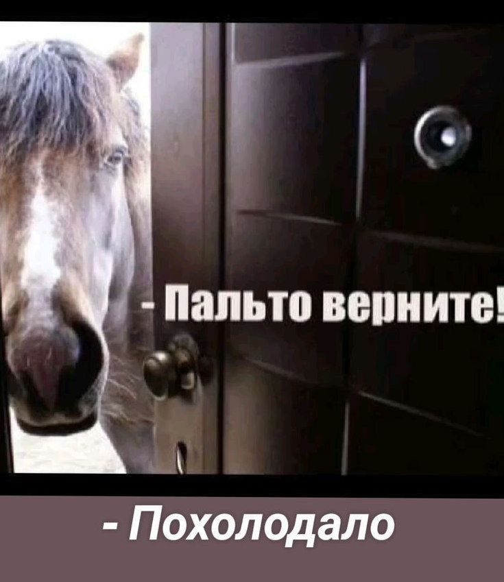 Похолодало