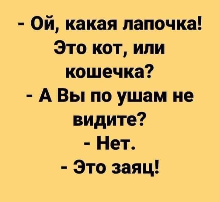 Ой какая лапочка Это кот ипи кошечка А Вы по ушам не видите Нет Это заяц