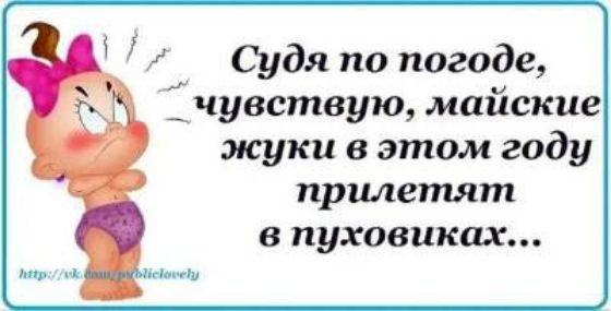 Судя по погоде _чувствую майские жуки в этом году прилетят 8 пуховикпх