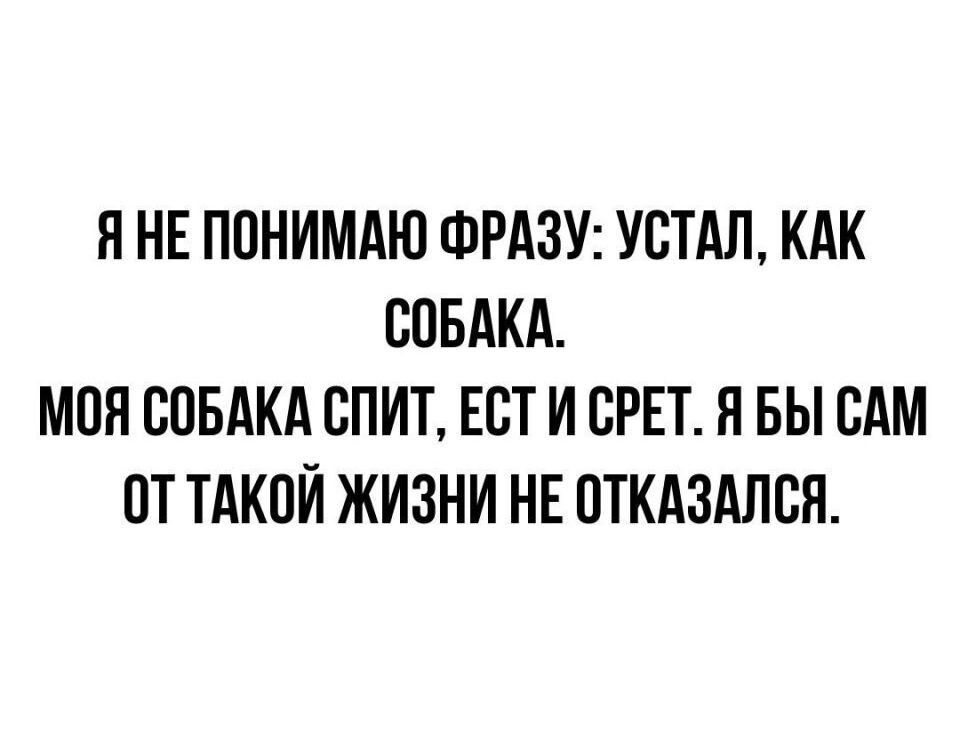 Я НЕ ППНИМАЮ ФРАЗУ УСТАЛ КАК СОБАКА МОЯ СПБАКА СПИТ ЕЕТ И СРЕТ Я БЫ САМ ОТ ТАКПИ ЖИЗНИ НЕ ОТКАЗАЛСЯ