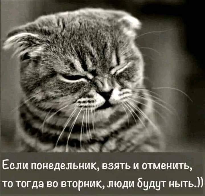 __ді _ _ и ЕСЛИ ПОНЕДЕЛЬНИК 83 И ОТМЕНИТЬ то тогда во вторник люди будут мыть