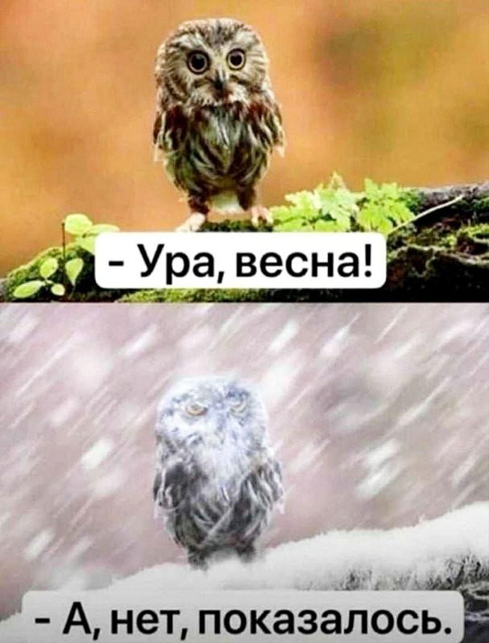 А А А нет показалосй