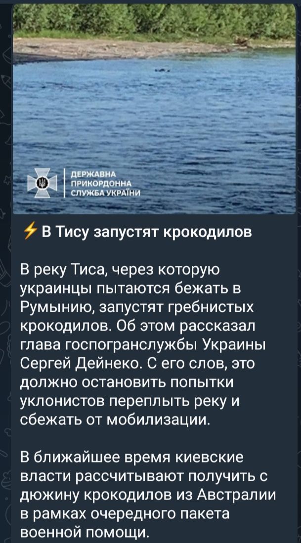 В Тису запустят крокодилов В реку Тиса через которую украинцы пытаются бежать в Румынию запустят гребнистых крокодилов Об этом рассказал глава госпогранслужбы Украины Сергей Дейнеко С его слов это должно остановить попытки уклонистов переплыть реку и сбежать от мобилизации В ближайшее время киевские власти рассчитывают получить дюжину крокодилов из Австралии в рамках очередного пакета военной помо