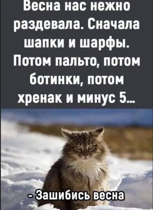 Весна нас нежно раздевапа Сначала шапки и шарфы Потом пальто потом ботинки потом хренак и минус 5 _ Зашибись весна 14