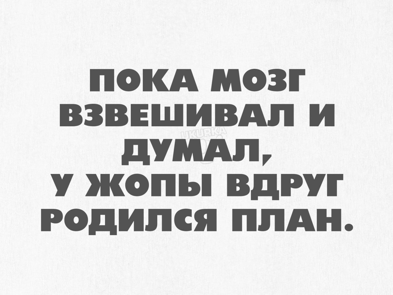 ПОКА МОЗГ ВЗВЕШИВАЛ и ПУМА ЖОПЪ ВДРУГ годился ПЛАН