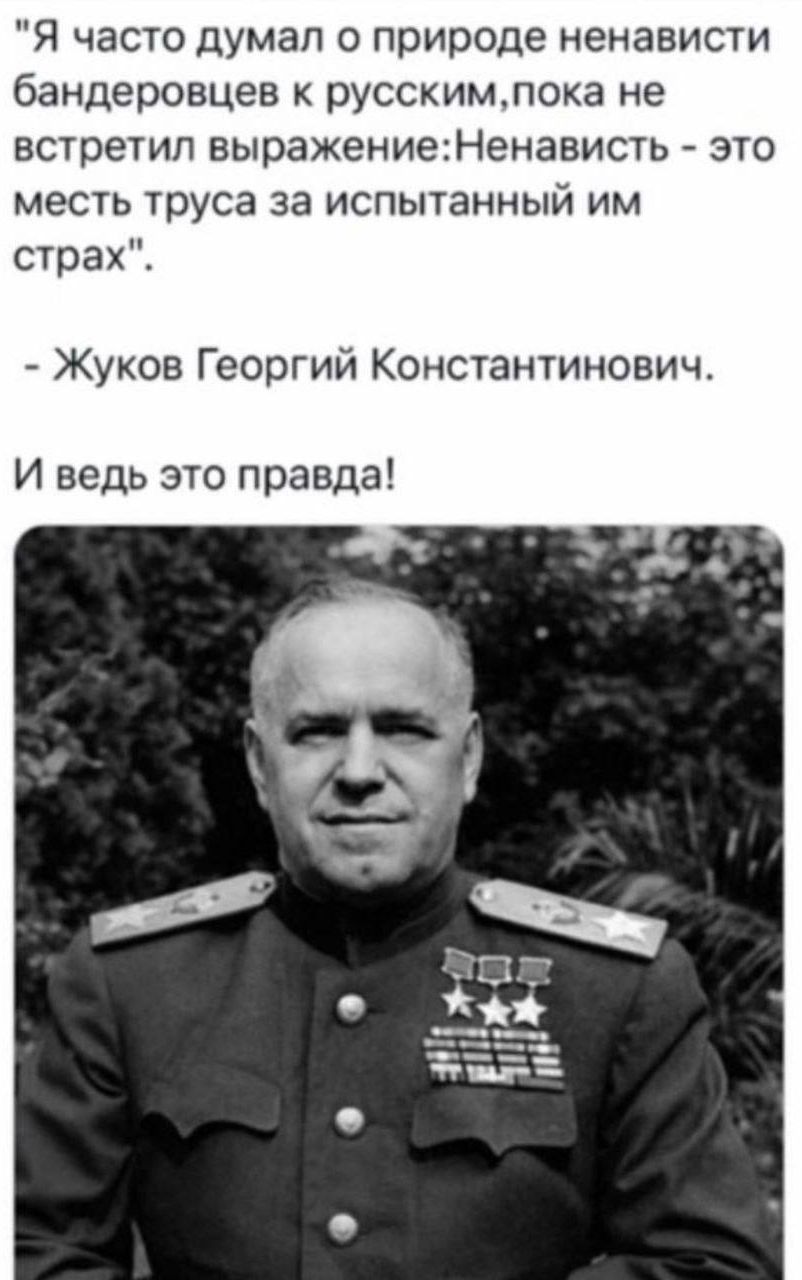 Я часто думал о природе ненависти бандеровцев к русскимлока не встретил выражение енависть это месть труса за испытанный им страх Жуков Георгий Константинович И ведь это правда