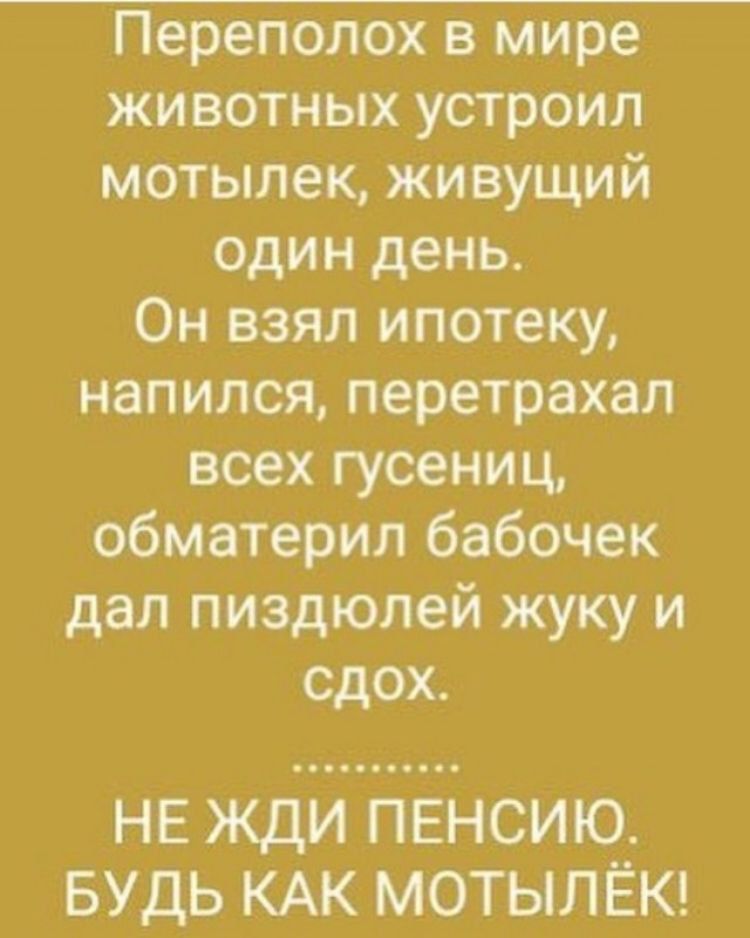 Переполох в мире животных устроил мотылек живущий один день Он взял ипотеку напился перетрахап всех гусениц обматерил бабочек дал пиздюлей жуку и сдох НЕ жди ПЕНСИЮ БУДЬ КАК МОТЫЛЁК