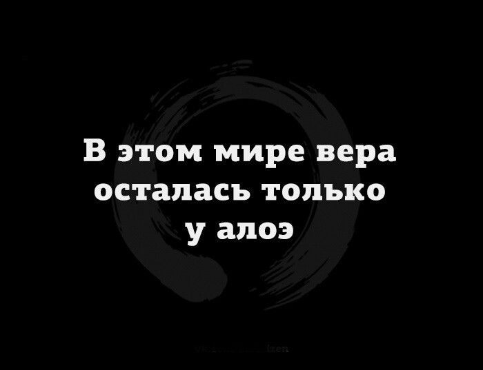 В этом мире вера осталась только у алоэ