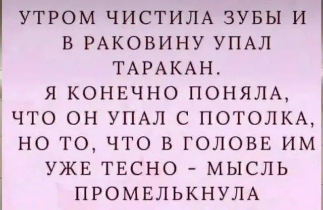 УТРОМ ЧИСТИЛА ЗУБЫ И В РАКОВИНУ УПАЛ ТАРАКАН Я КОНЕЧНО ПОНЯЛА ЧТО ОН УПАЛ С ПОТОЛКА НО ТО ЧТО В ГОЛОВЕ ИМ УЖЕ ТЕСНО МЫСЛЬ ПРОМЕЛЬКНУЛА