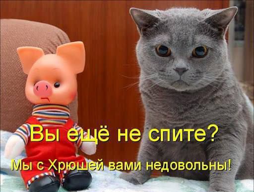 неспите апт недовольны