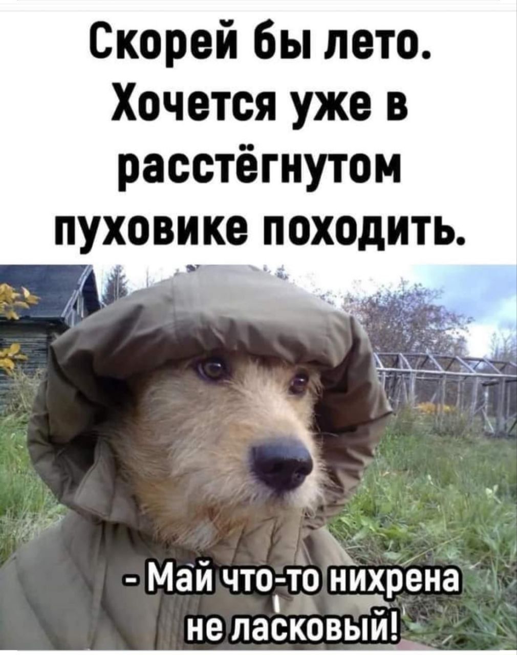 Скорей бы лето Хочется уже в расстёгнутом пуховике походить Май что то нихрена ЧЪ не ласковый